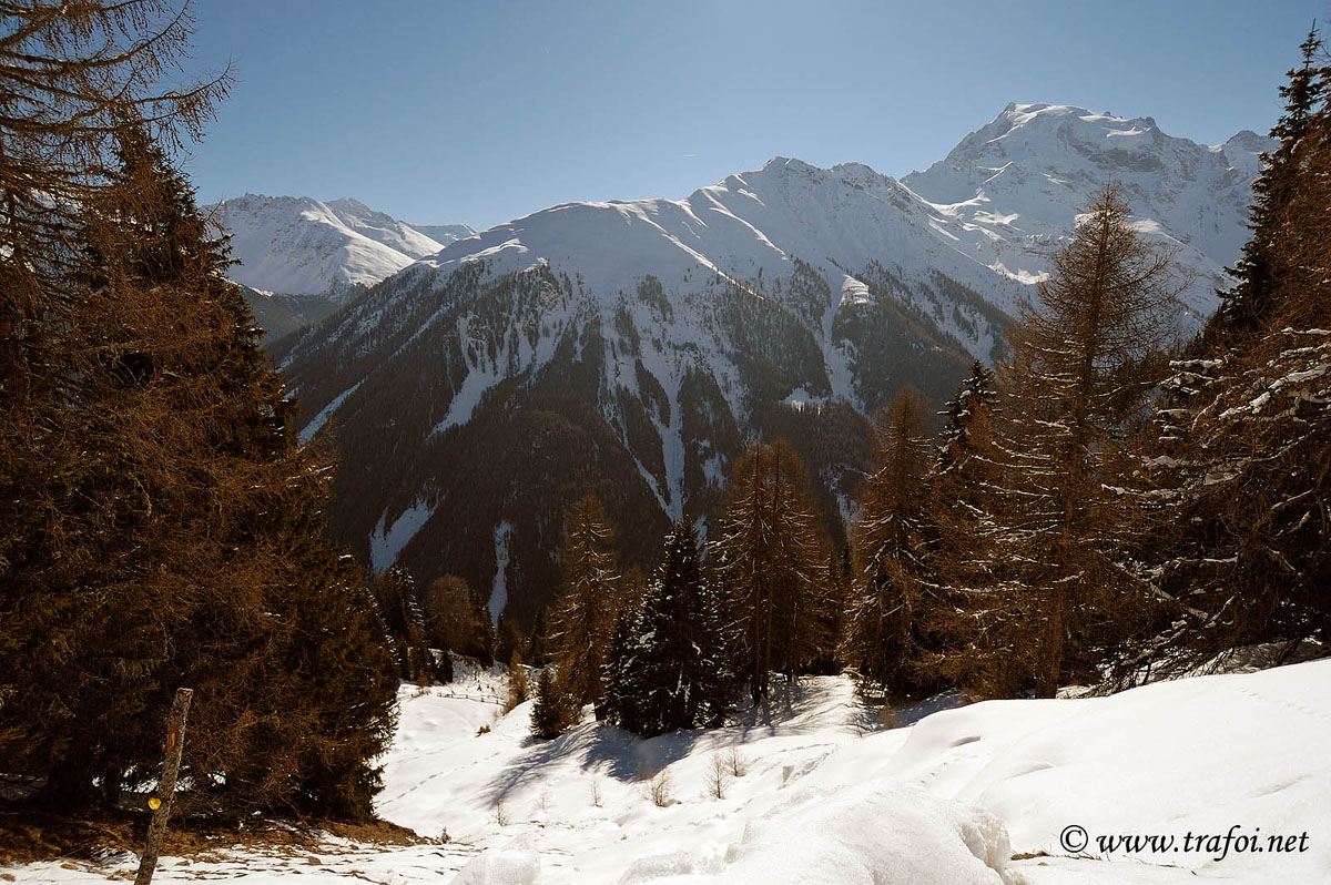 ../Escursioni2/Malga_Prato/2765bis.jpg