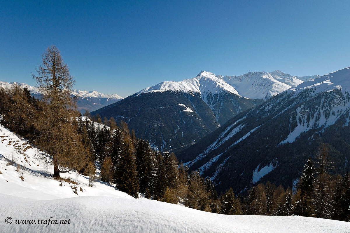 ../Escursioni2/Malga_Prato/2773bis.jpg