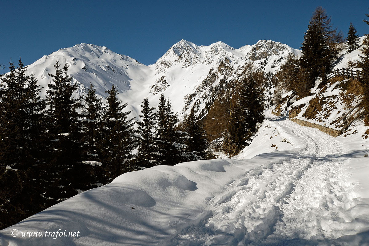 ../Escursioni2/Malga_Prato/2784bis.jpg