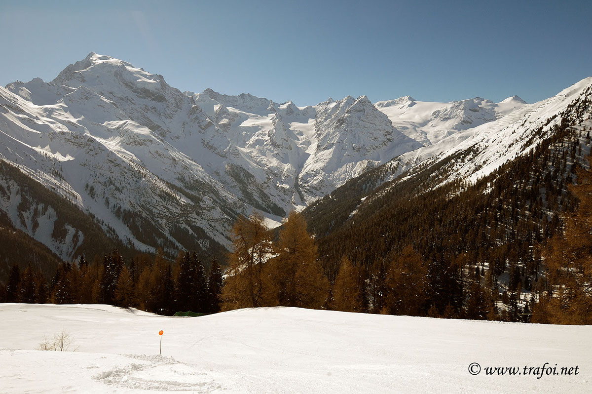 ../Escursioni2/Malga_Prato/2785bis.jpg