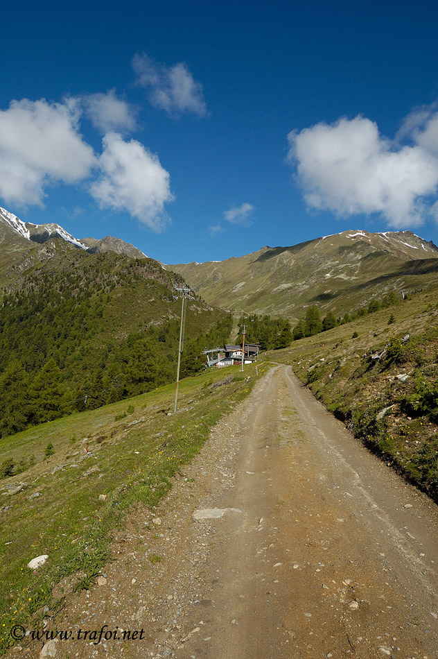 ../Escursioni2/Malga_Stelvio/3218.jpg