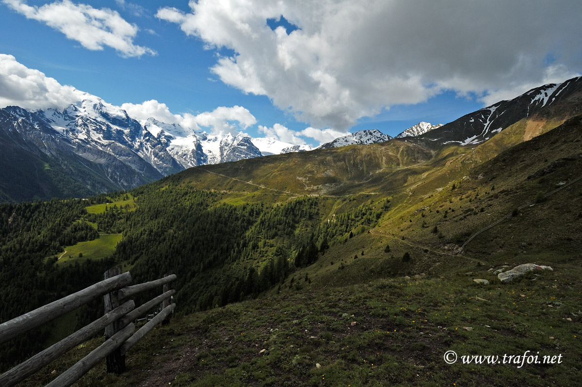 ../Escursioni2/Malga_Stelvio/3240bis.jpg