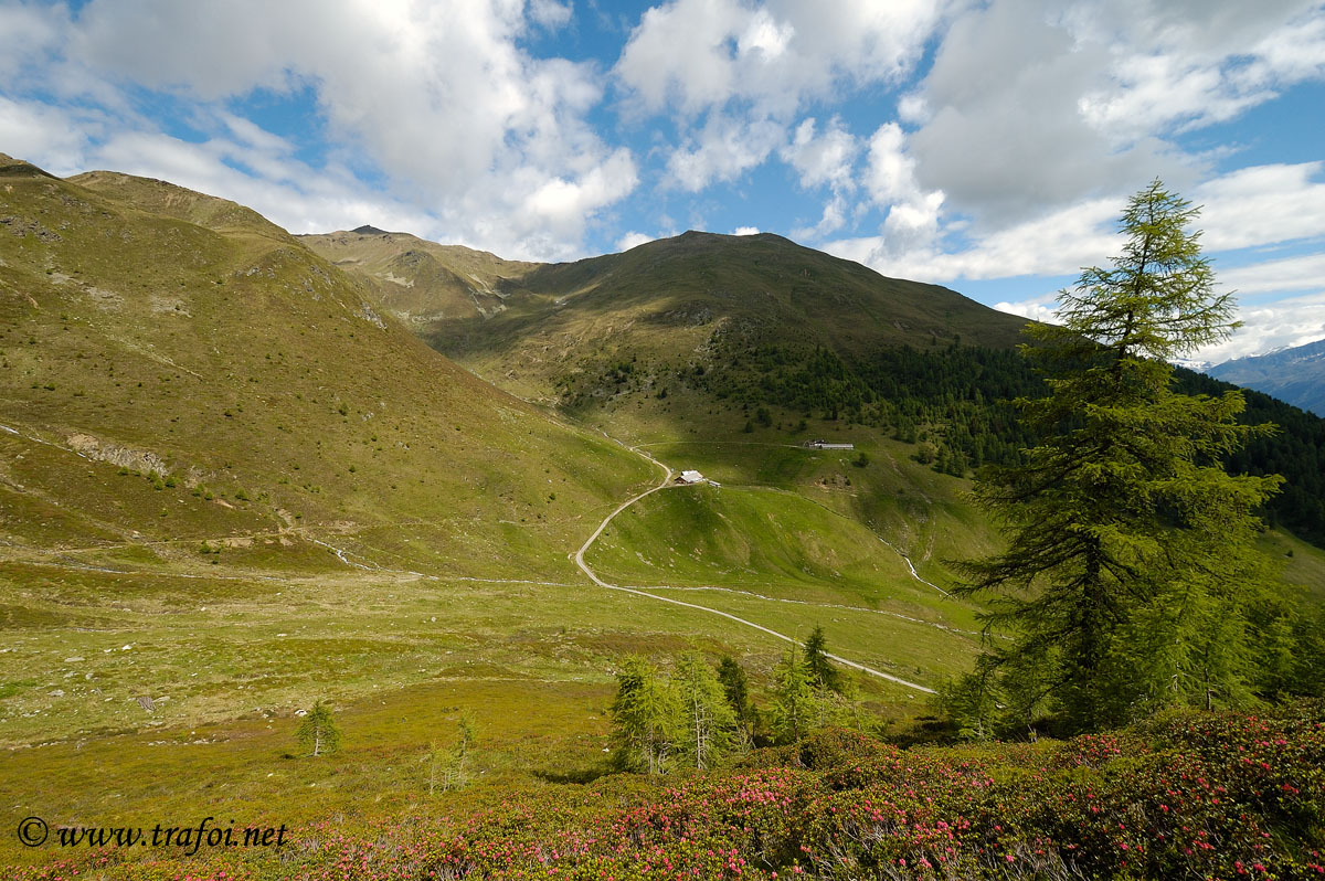 ../Escursioni2/Malga_Stelvio/3250bis.jpg