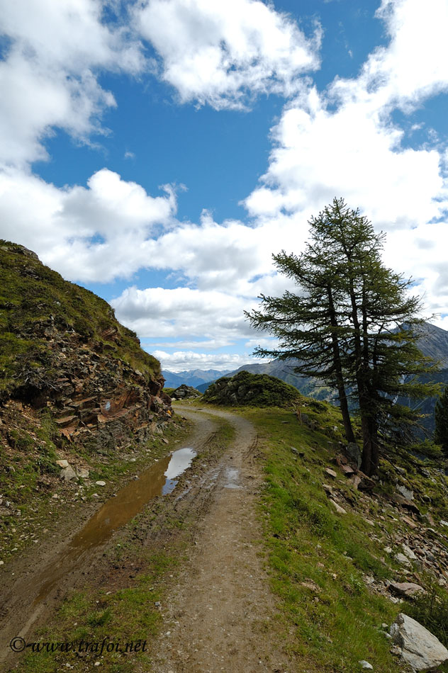 ../Escursioni2/Malghe_Tarres/3633.jpg