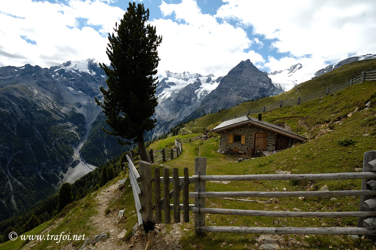 ../Escursioni2/Malghe_Tarres/3657bis.jpg