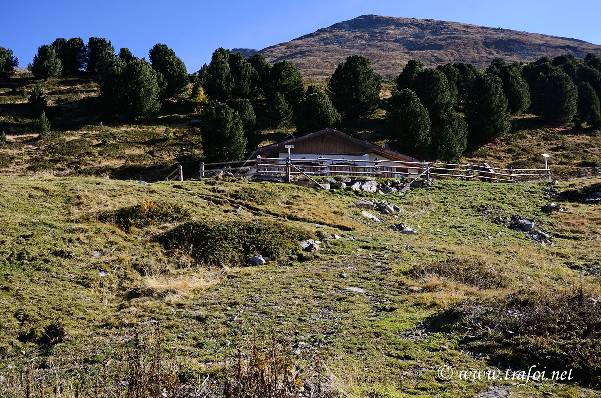 ../Escursioni2/Malghe_Vitelli_Toro/6650bis.jpg