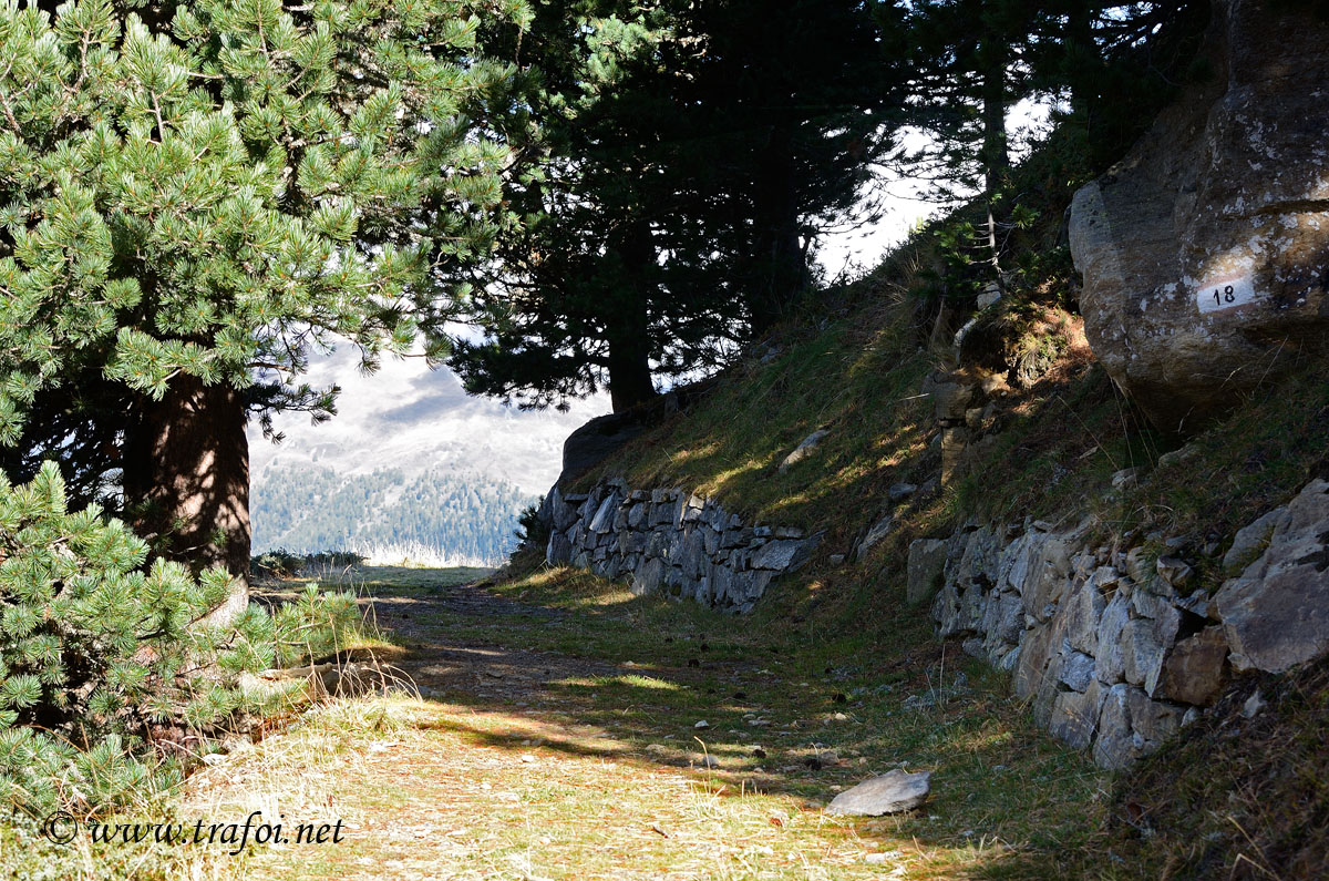 ../Escursioni2/Malghe_Vitelli_Toro/6664bis.jpg