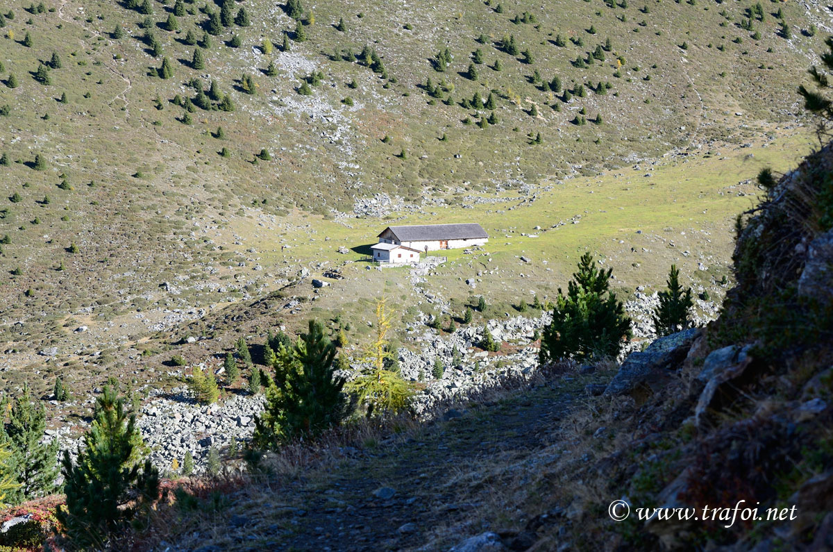 ../Escursioni2/Malghe_Vitelli_Toro/6681bis.jpg