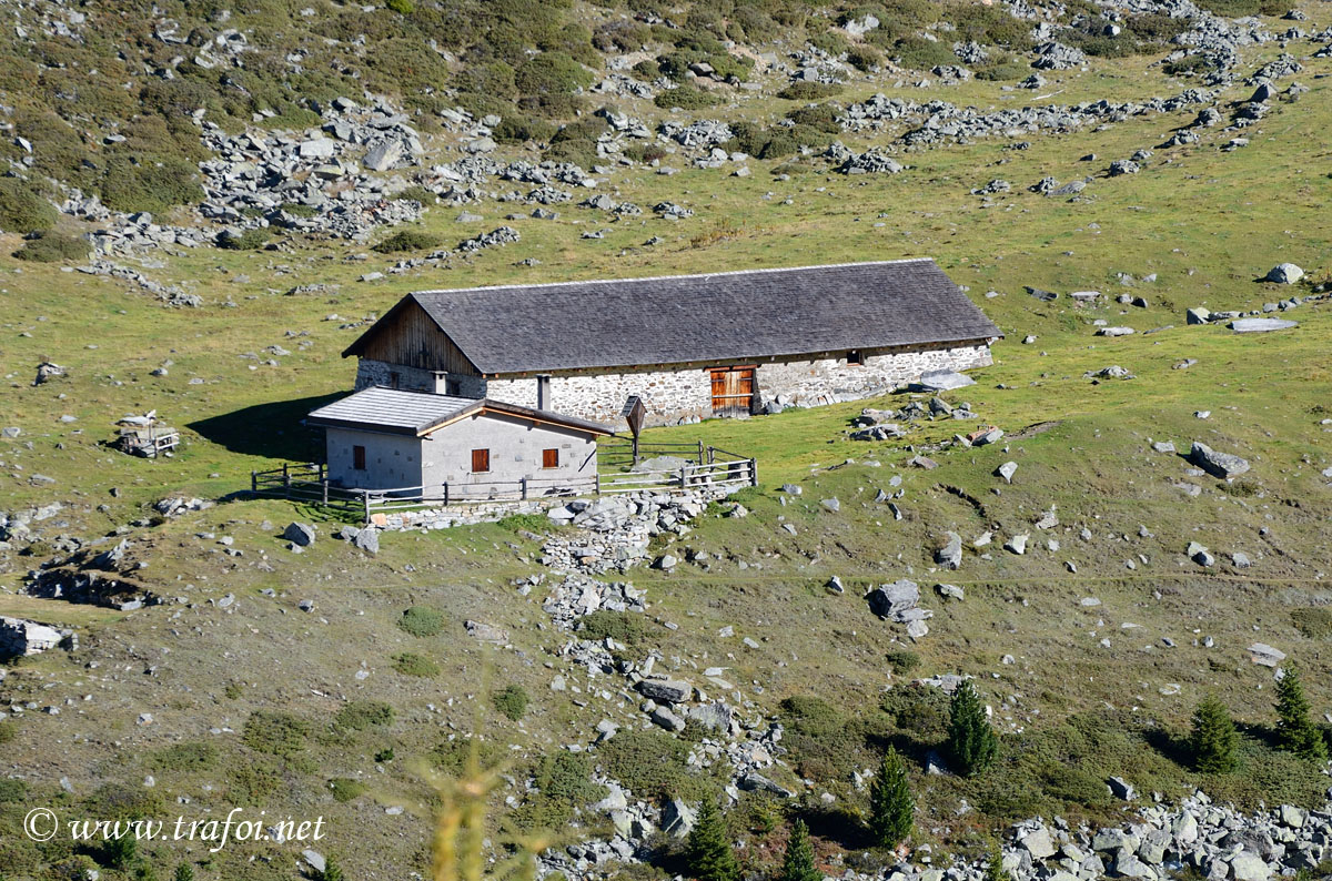 ../Escursioni2/Malghe_Vitelli_Toro/6683bis.jpg
