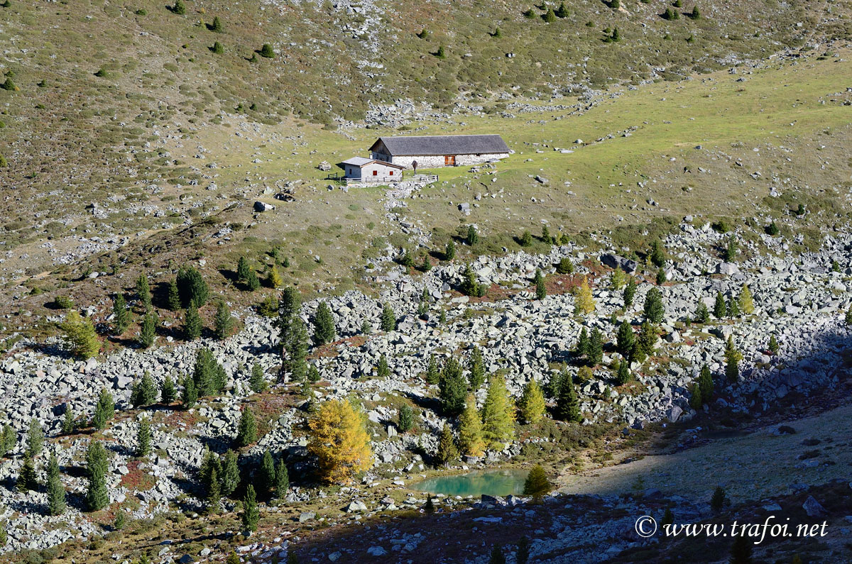 ../Escursioni2/Malghe_Vitelli_Toro/6693bis.jpg