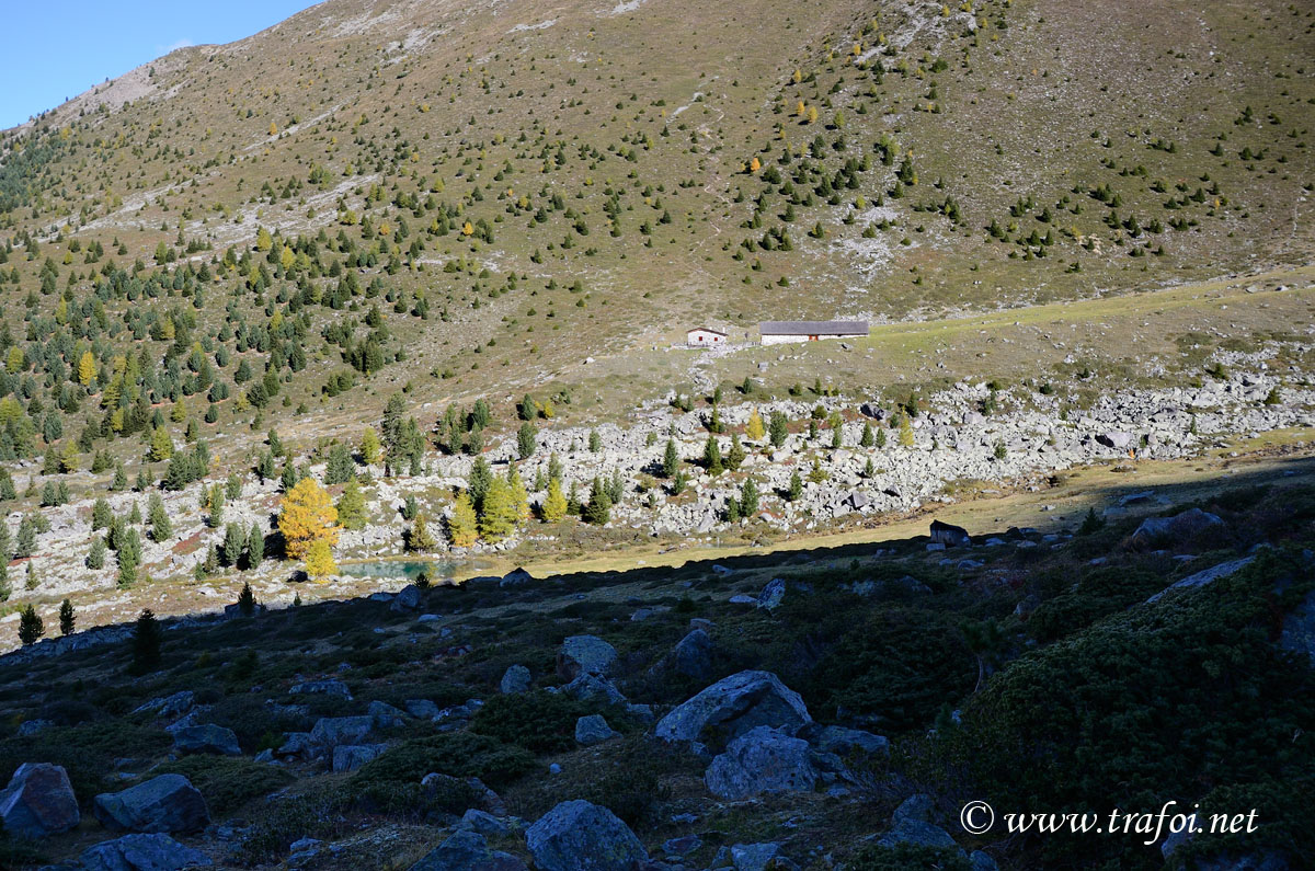 ../Escursioni2/Malghe_Vitelli_Toro/6698bis.jpg