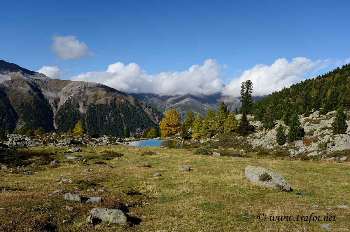 ../Escursioni2/Malghe_Vitelli_Toro/6703bis.jpg