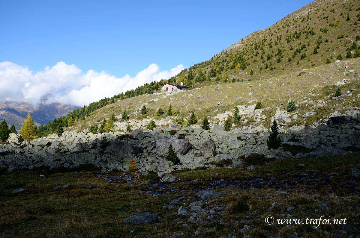 ../Escursioni2/Malghe_Vitelli_Toro/6749bis.jpg