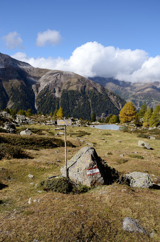 ../Escursioni2/Malghe_Vitelli_Toro/6750bis.jpg