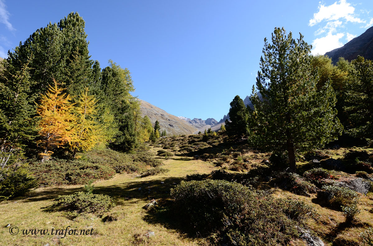 ../Escursioni2/Malghe_Vitelli_Toro/6761bis.jpg