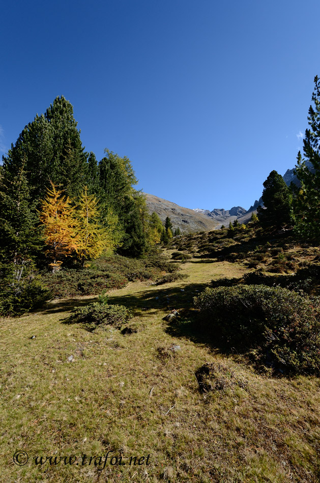 ../Escursioni2/Malghe_Vitelli_Toro/6763bis.jpg