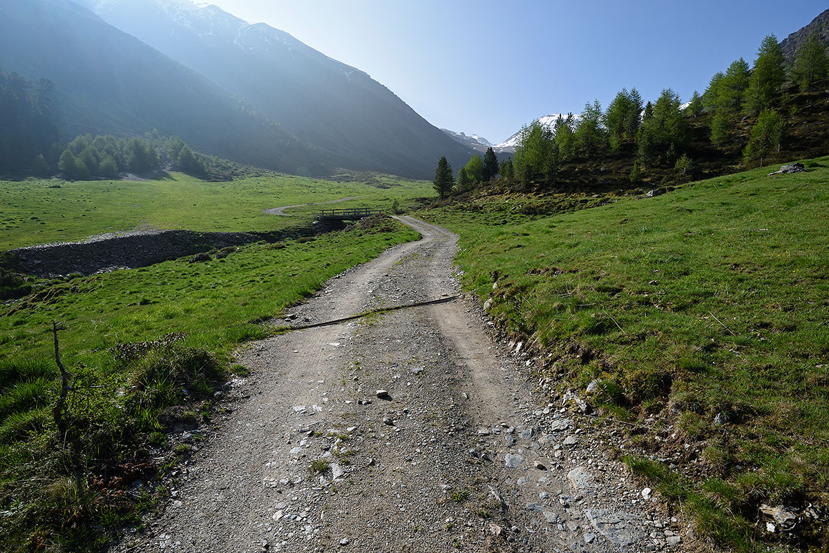 ../Escursioni2/Malles/010885_D750.jpg