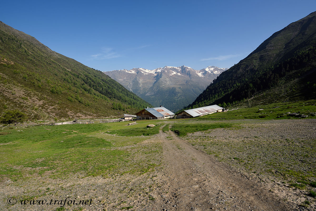 ../Escursioni2/Malles/010896_D750.jpg