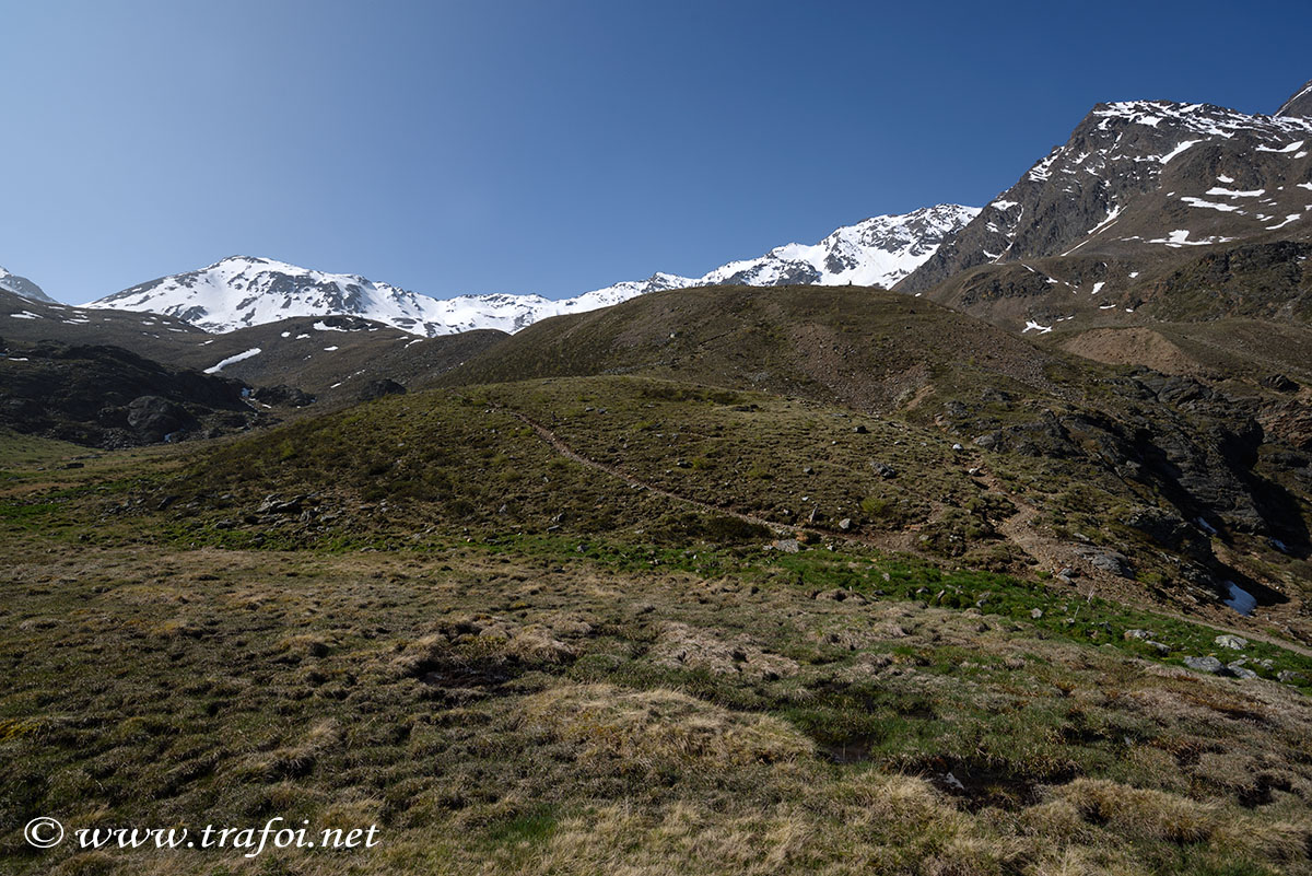 ../Escursioni2/Malles/010898_D750.jpg
