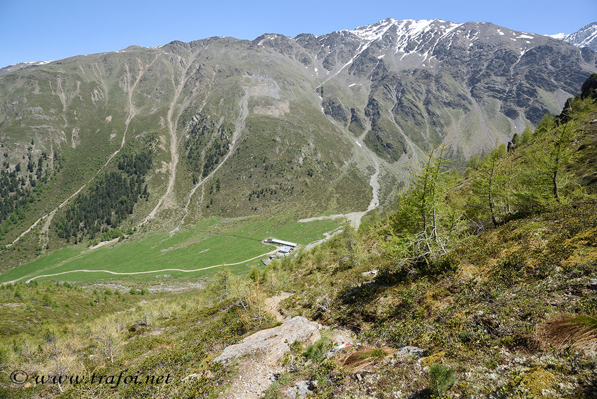../Escursioni2/Malles/011001_D750.jpg