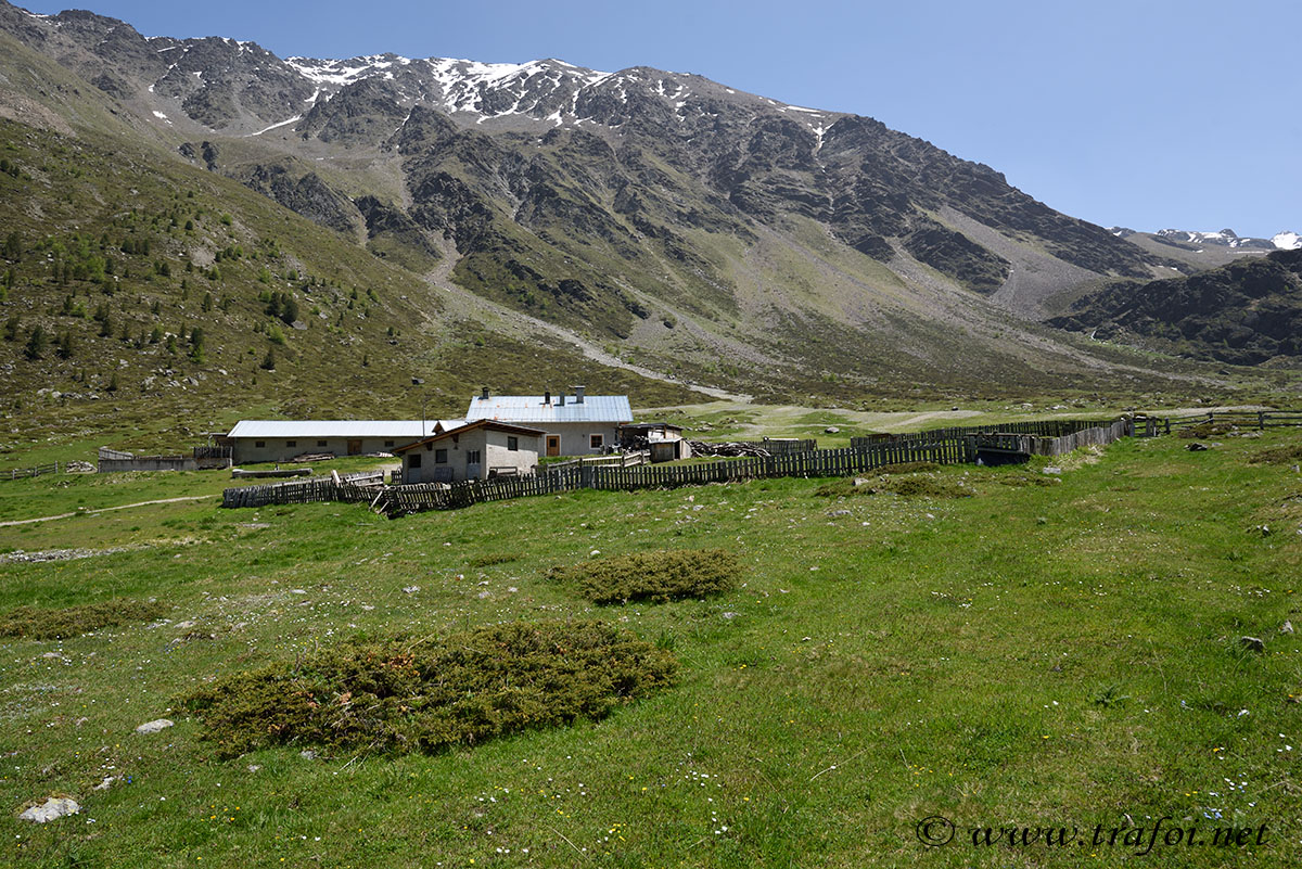../Escursioni2/Malles/011003_D750.jpg