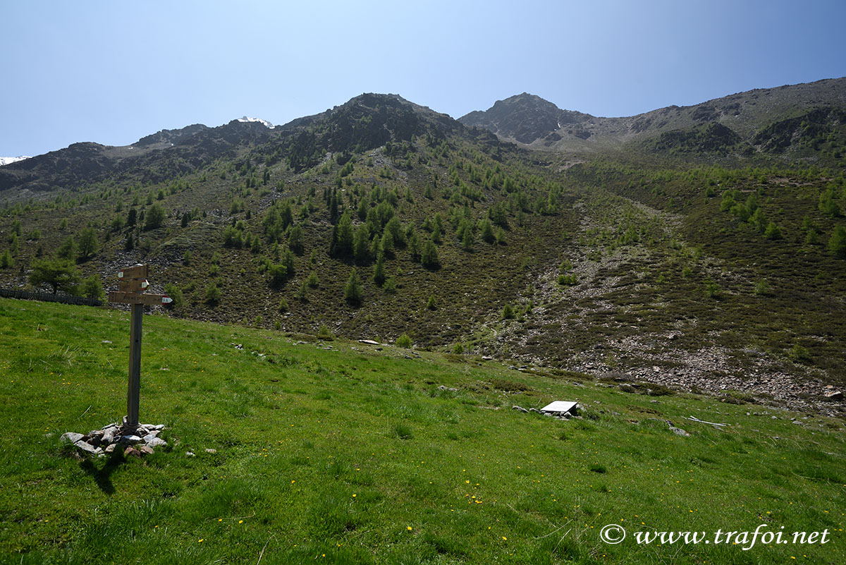 ../Escursioni2/Malles/011006_D750.jpg