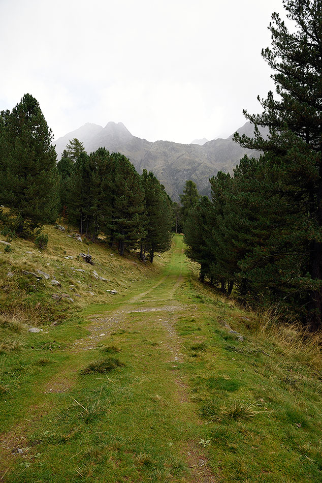 ../Escursioni2/Malles/012413_D750.jpg