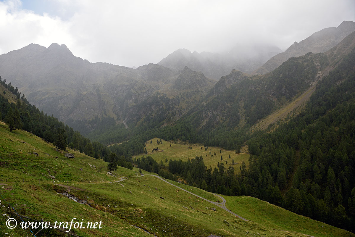 ../Escursioni2/Malles/012420_D750.jpg