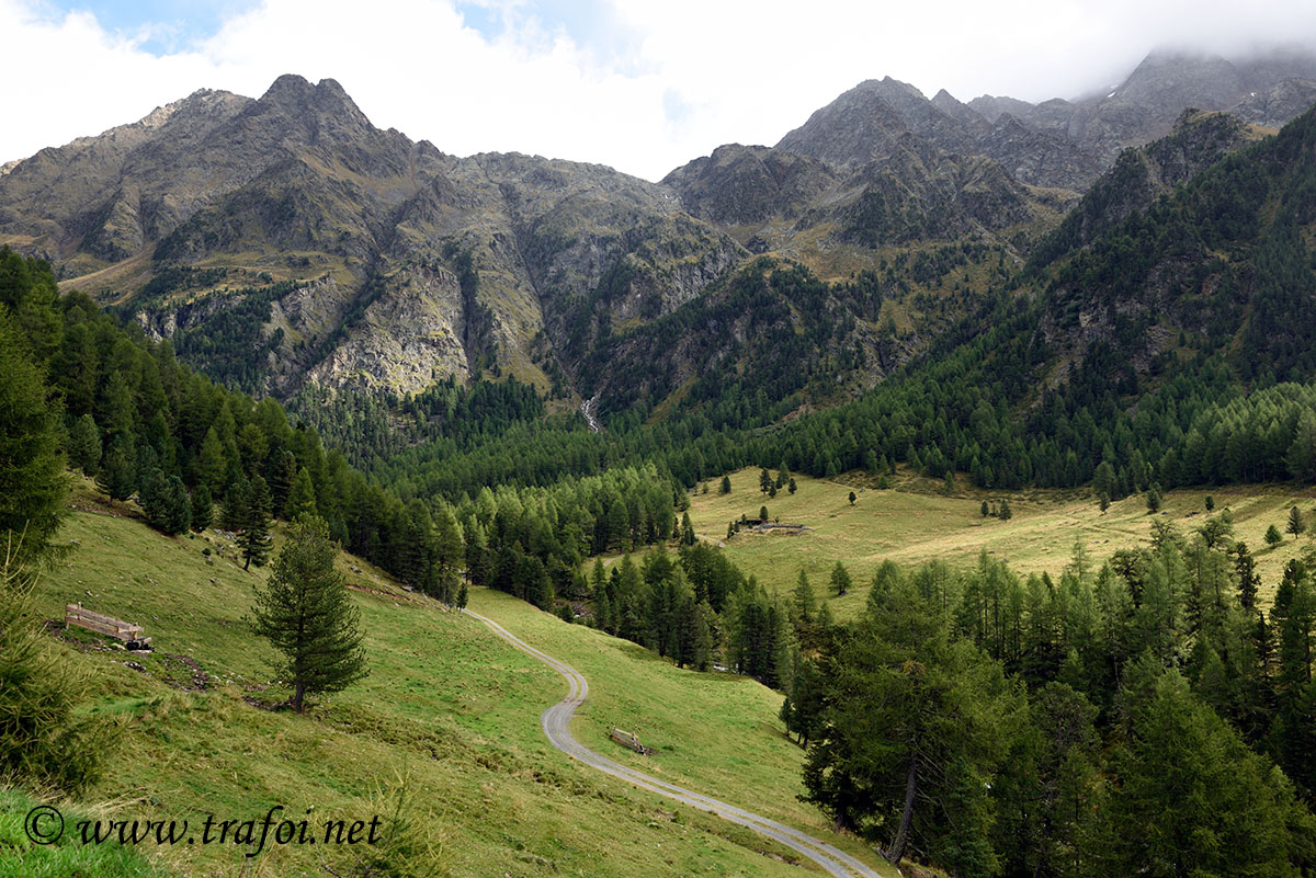 ../Escursioni2/Malles/012465_D750.jpg