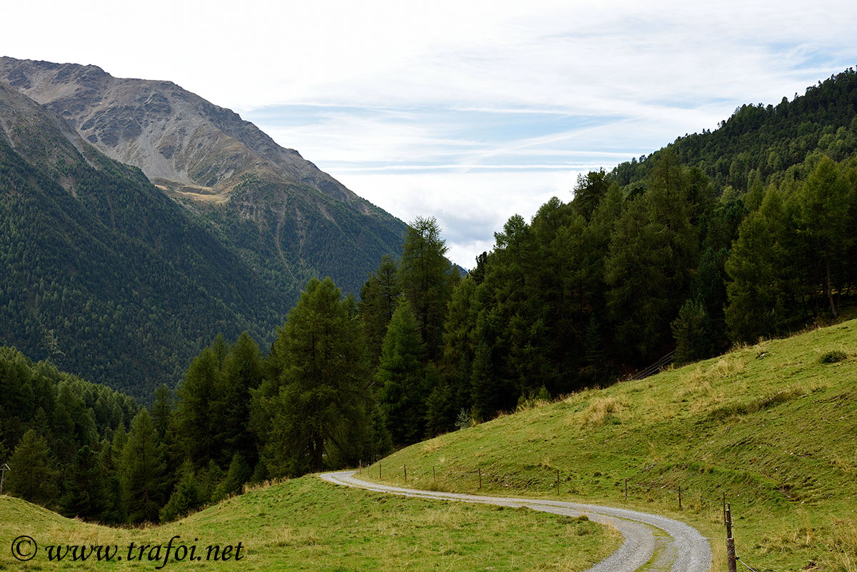 ../Escursioni2/Malles/012475_D750.jpg