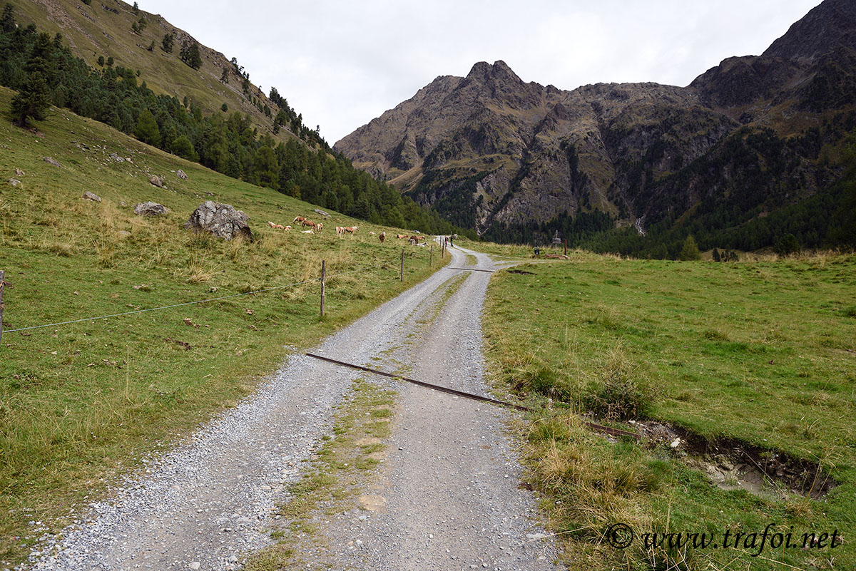../Escursioni2/Malles/012476_D750.jpg