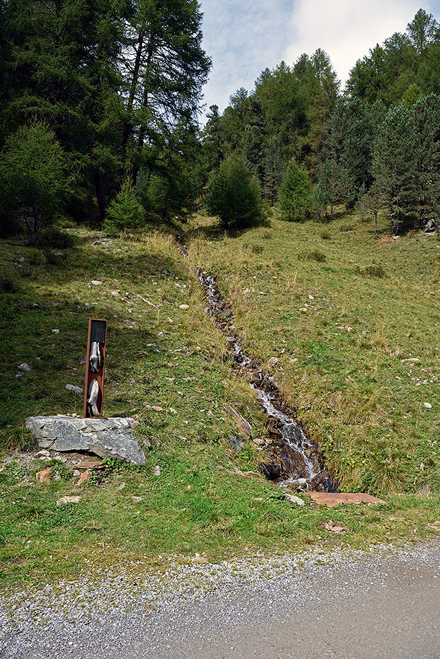 ../Escursioni2/Malles/012483_D750.jpg