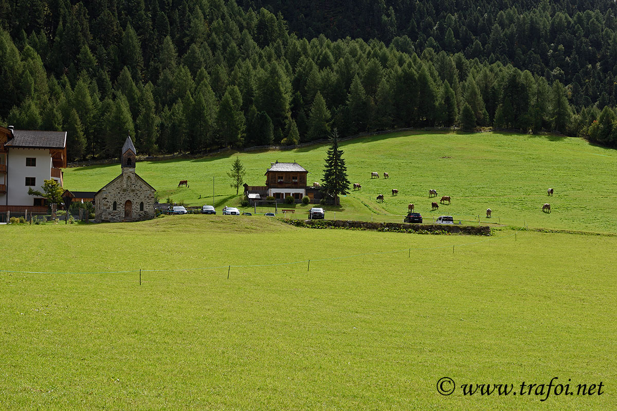 ../Escursioni2/Malles/012487_D750.jpg