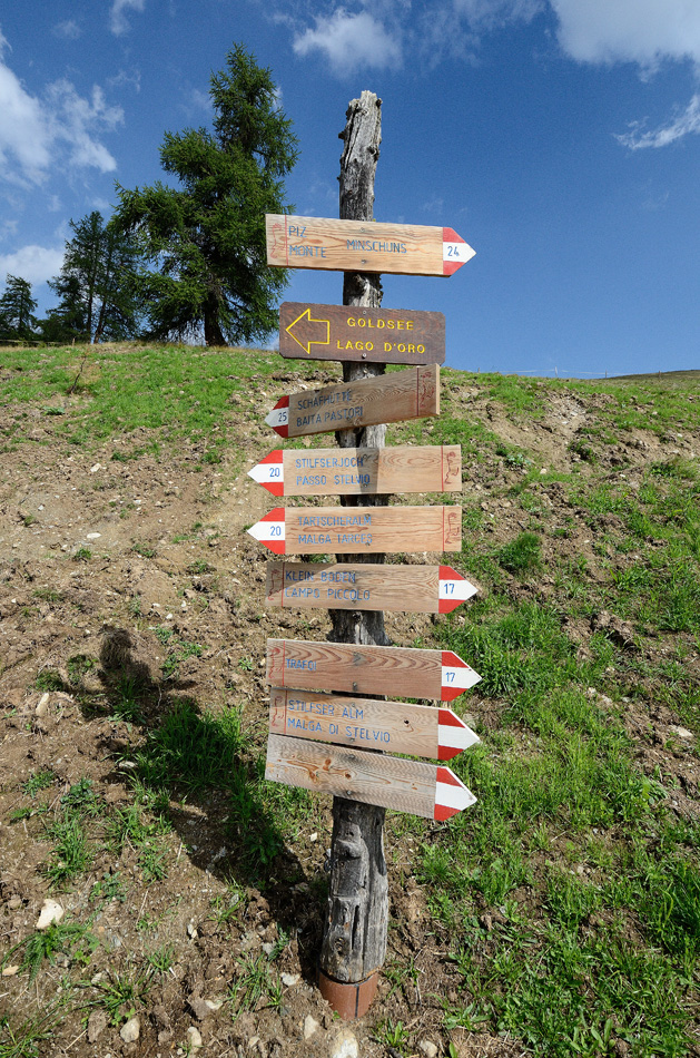 ../Escursioni2/Piz_Minschuns/5125.jpg