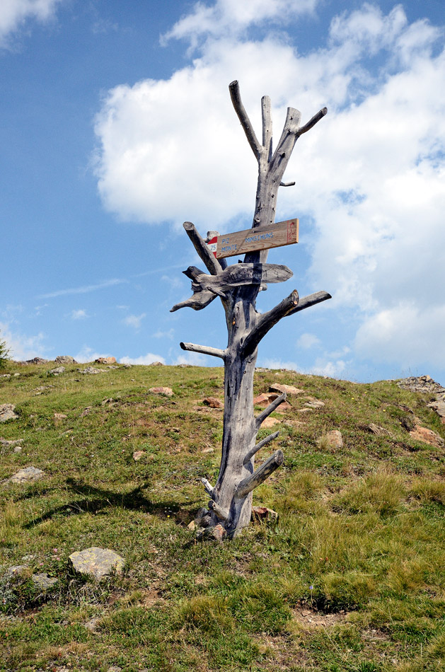 ../Escursioni2/Piz_Minschuns/5131.jpg