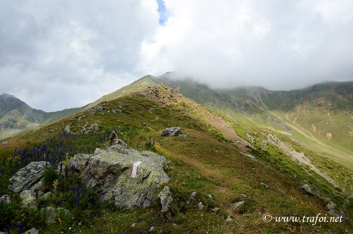 ../Escursioni2/Piz_Minschuns/5141bis.jpg