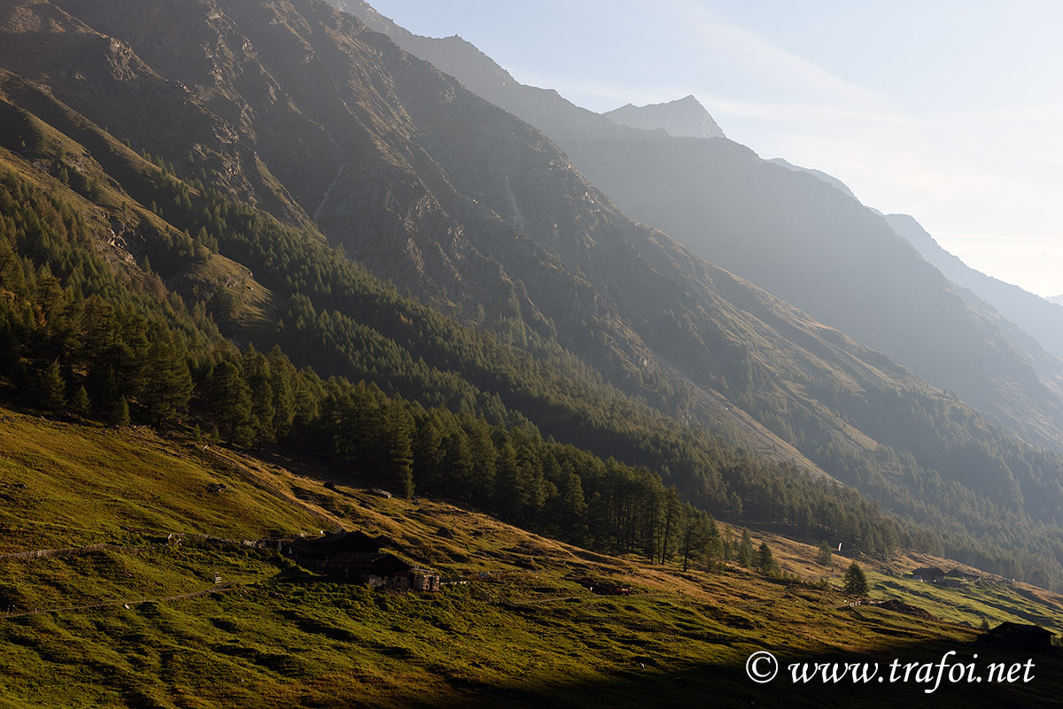 ../Escursioni2/Val_Fosse/Val_di_Fosse_005795.jpg