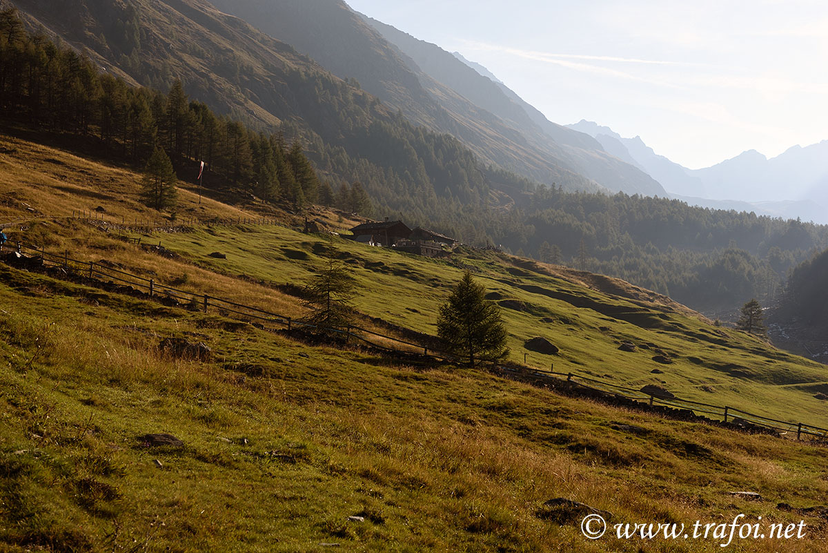 ../Escursioni2/Val_Fosse/Val_di_Fosse_005796.jpg