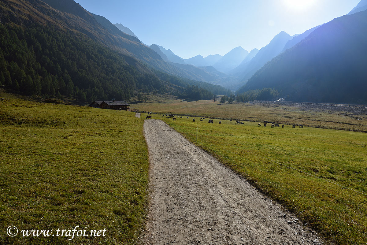 ../Escursioni2/Val_Fosse/Val_di_Fosse_005798.jpg