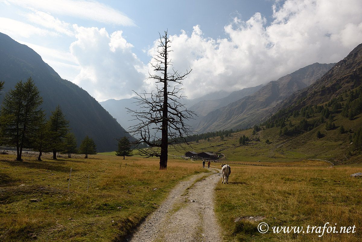 ../Escursioni2/Val_Fosse/Val_di_Fosse_005936.jpg