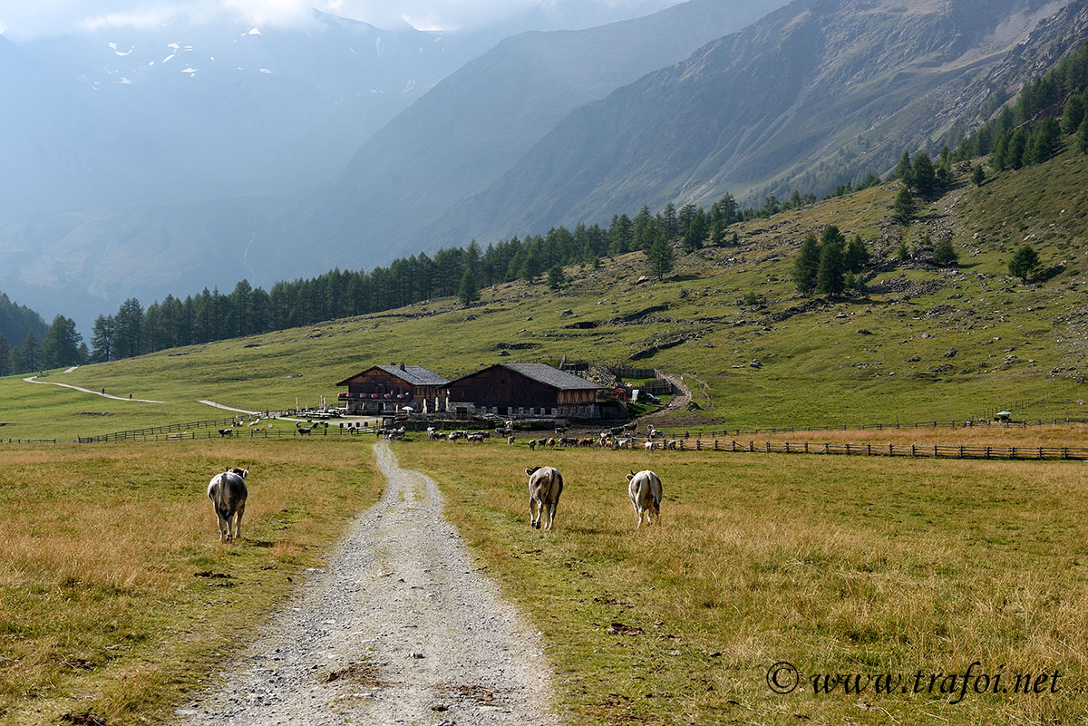 ../Escursioni2/Val_Fosse/Val_di_Fosse_005940.jpg