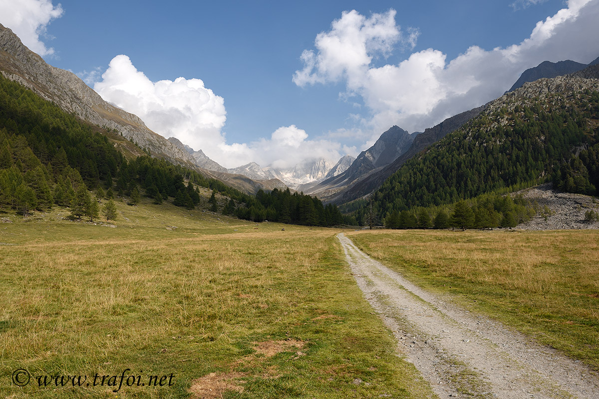 ../Escursioni2/Val_Fosse/Val_di_Fosse_005946.jpg