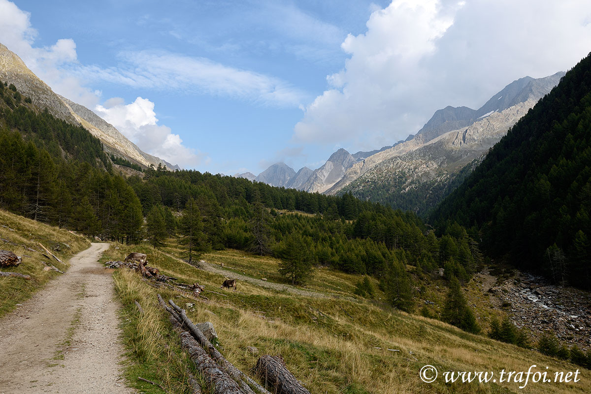 ../Escursioni2/Val_Fosse/Val_di_Fosse_005967.jpg