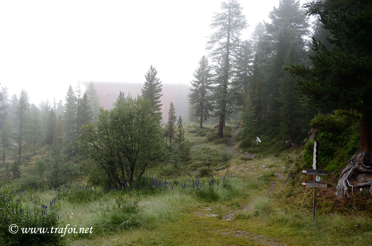 ../Escursioni2/Val_Martello/15306bis.jpg