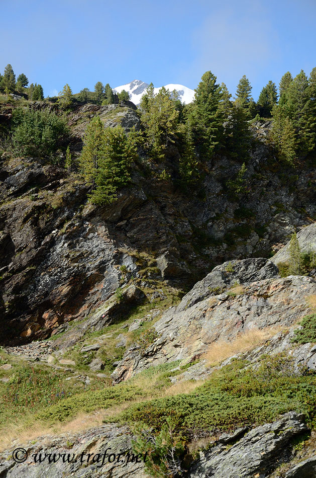 ../Escursioni2/Val_Martello/15313.jpg