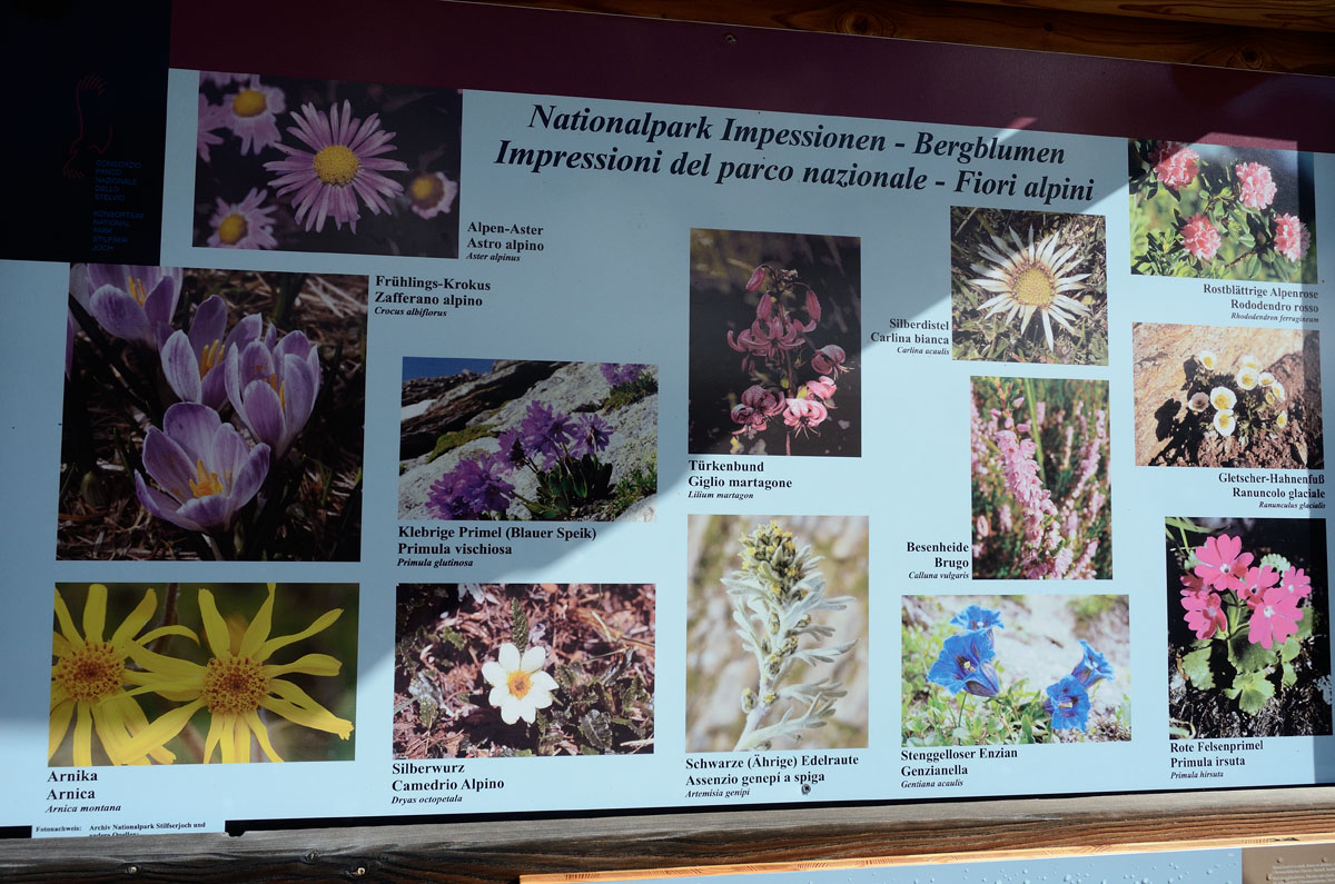 ../Escursioni2/Val_Martello/15334bis.jpg