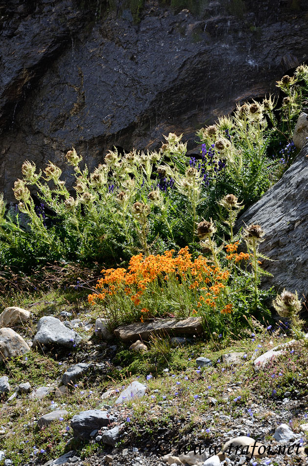 ../Escursioni2/Val_Martello/15641.jpg