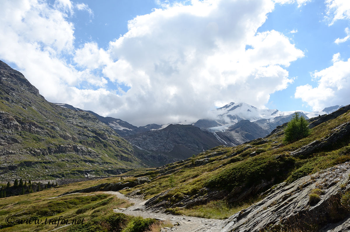 ../Escursioni2/Val_Martello/15653bis.jpg