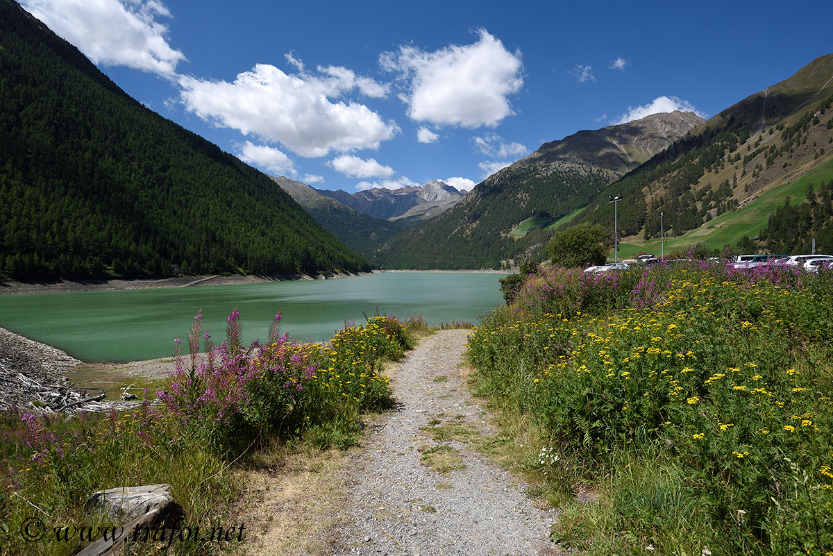 ../Escursioni2/Val_Senales/008674_D750.jpg
