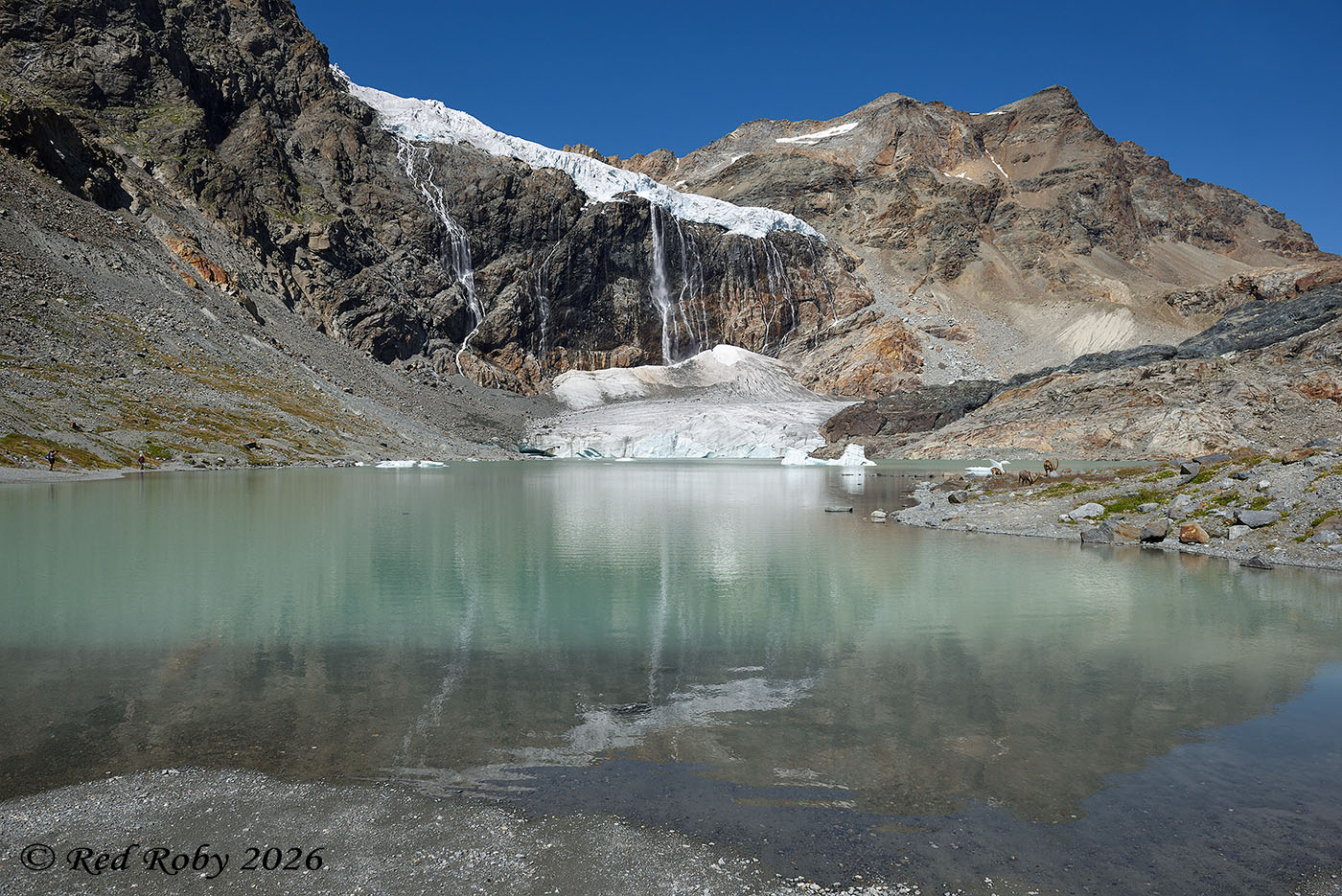 Ghiacciaio Fellaria - Valmalenco